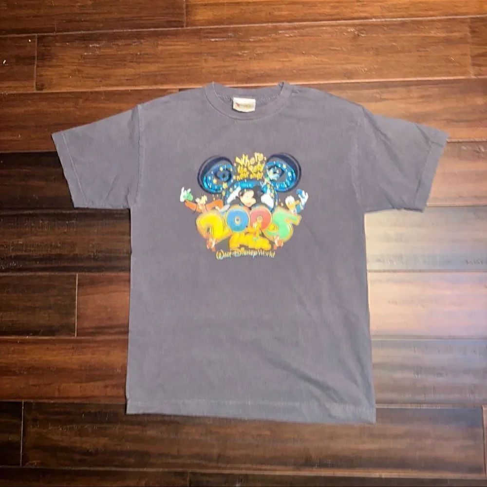 Vintage 2005 Walt Disney World T-Shirt